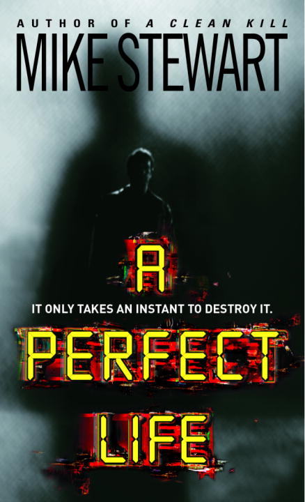 Title details for A Perfect Life by Mike Stewart - Available